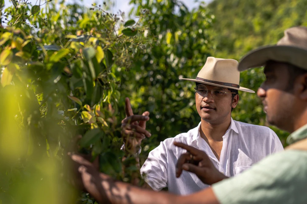 Dilmah finest Ceylon Cinnamon Experience