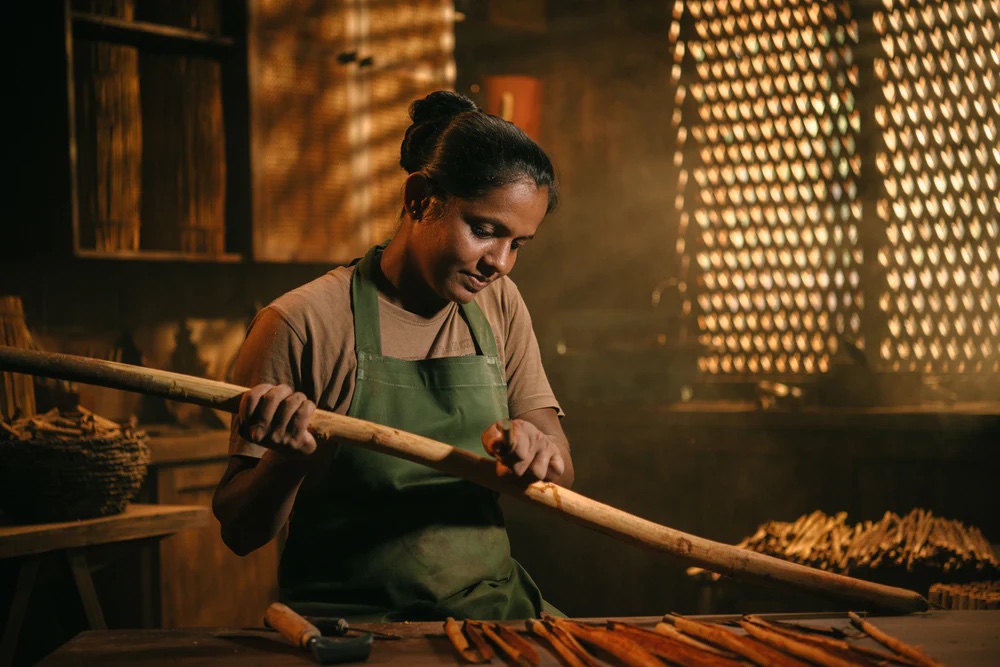 Production of finest Ceylon Cinnamon