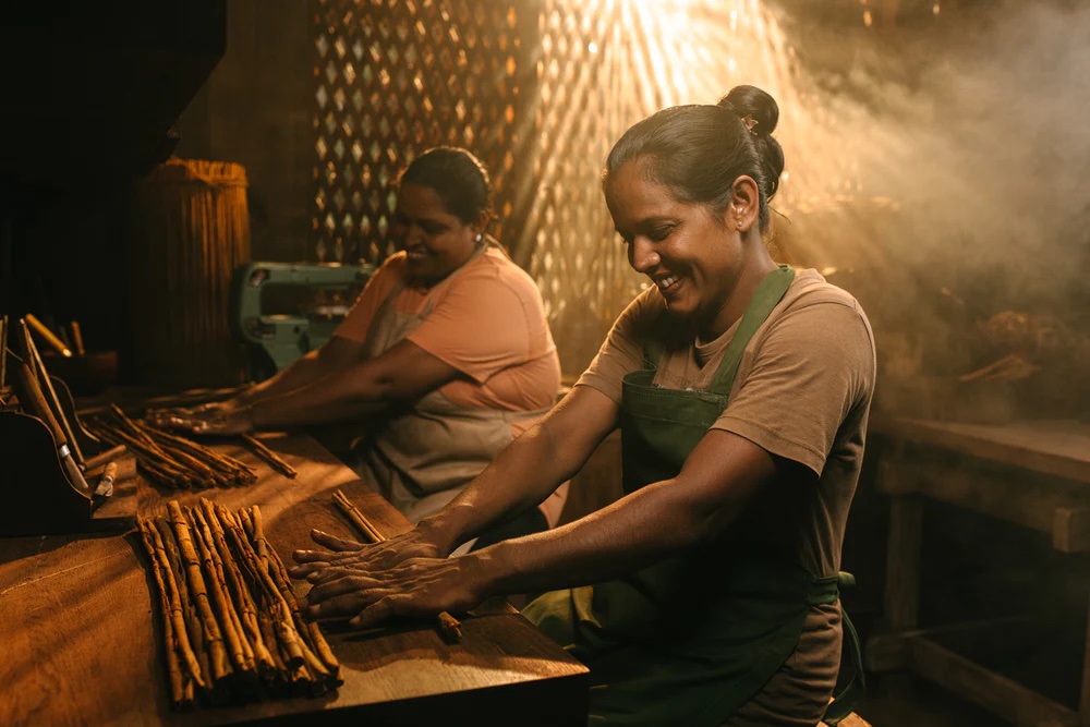 Dilmah finest Ceylon Cinnamon heritage
