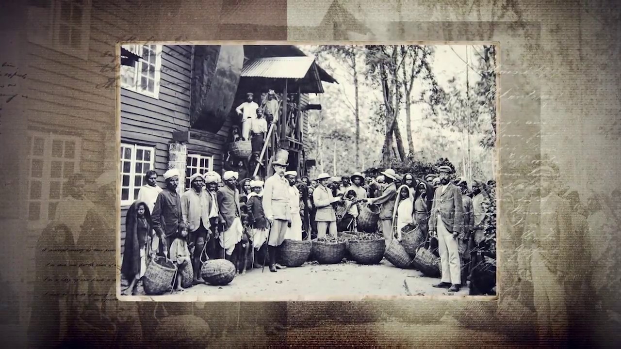 video cover poster history of ceylon tea - uf2138QgYHA